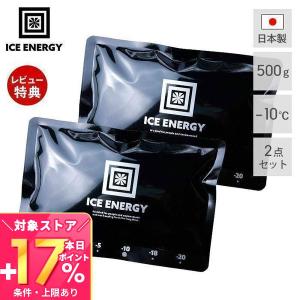 アイスエナジー 保冷剤 500g -10℃ 2個セット ソフト 保冷パック 日本製 薄型 氷点下 高機能 黒 長時間 アウトドア キャンプ レジャー 特殊低温保冷剤 おしゃれ｜e-alamode