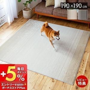 ペット対応消臭ラグ 190×190cm
