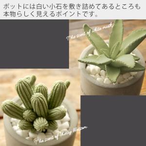 ディフューザー リードディフューザー 北欧 フ...の詳細画像3