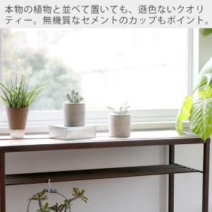 ディフューザー リードディフューザー 北欧 フ...の詳細画像4