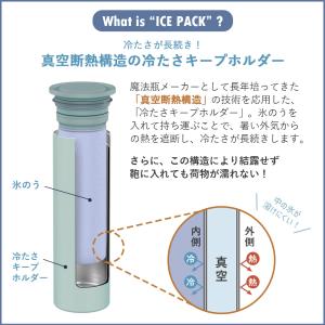 3/15はP15%還元! ミニアイスパック ネ...の詳細画像3