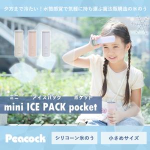 ミニアイスパック ポケット ネッククーラー 氷...の詳細画像2