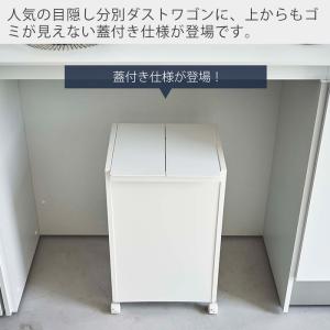 山崎実業 公式 タワー 蓋付き目隠し分別ダスト...の詳細画像1