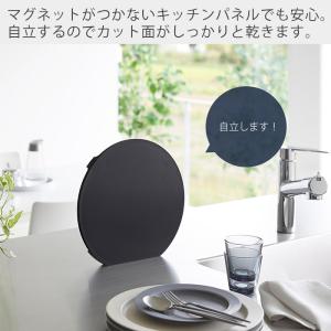 山崎実業 公式 タワー 食洗機対応 マグネット...の詳細画像2