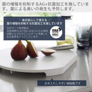山崎実業 公式 タワー 食洗機対応 マグネット...の詳細画像3