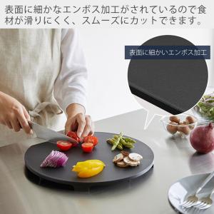 山崎実業 公式 タワー 食洗機対応 マグネット...の詳細画像5