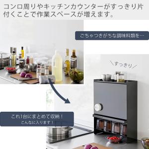 山崎実業 公式 タワー 前が開く 隠せる調味料...の詳細画像3