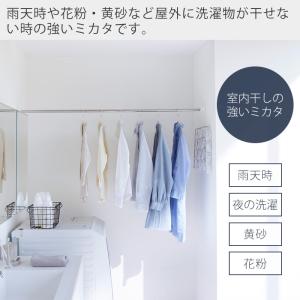 山崎実業 公式 タワー 石こうボード壁対応物干...の詳細画像3