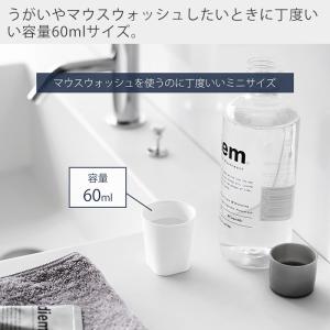 山崎実業 公式 タワー フィルムフックマグネッ...の詳細画像2