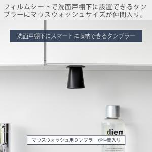 山崎実業 公式 タワー フィルムシート洗面戸棚...の詳細画像2