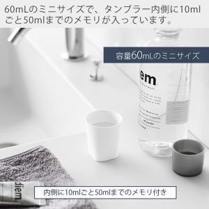 山崎実業 公式 タワー フィルムシート洗面戸棚...の詳細画像4