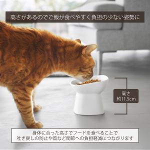 山崎実業 公式 ヌークス 早食い防止陶器ペット...の詳細画像3