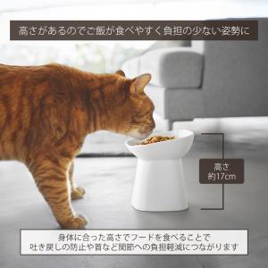 山崎実業 公式 ヌークス 早食い防止陶器ペット...の詳細画像3