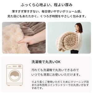 こたつ布団 布団 10/18は最大P10%! ...の詳細画像5