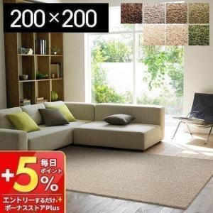 スミノエ (豪華2大特典) ラグ 140×200 ラグマット 絨毯 カーペット