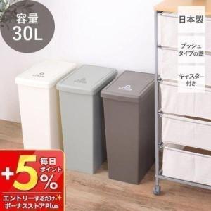 ストロベリー様　ダストボックス　30L アメリカン　お洒落ゴミ箱　分別ゴミ箱 東谷 ゴミ箱 ダストボックス 30L 日本製 キャスター付き 蓋つき