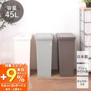 4/15はP+9％！ ゴミ箱 ダストボックス 45L 日本製 キャスター付き 蓋つき プッシュ 蓋 北欧 スリム 大容量 ポリプロピレン おしゃれ シンプル