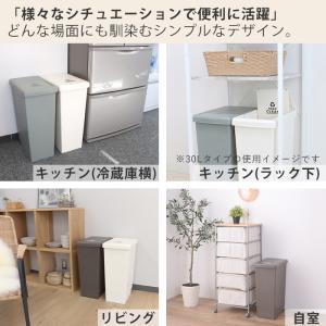 4/15はP+9%! ゴミ箱 ダストボックス ...の詳細画像3