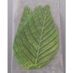人工桜葉　２０枚