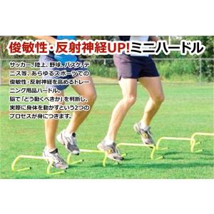 トレーニング ミニハードル サッカー フットサ...の詳細画像1