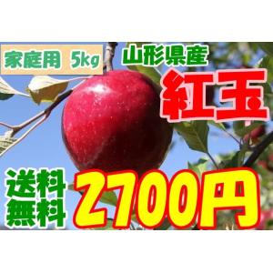 紅玉　りんご　家庭用5kg ※一部地域送料無料　