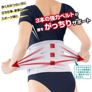 【送料無料】 お医者さんの(R)がっちりコルセット M-L / 株式会社アルファックス｜e-apron