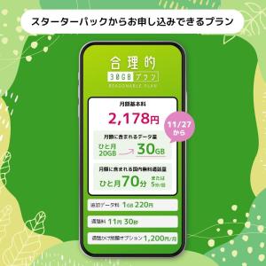 日本通信SIM スターターパック ドコモネット...の詳細画像1