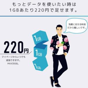 日本通信SIM スターターパック ドコモネット...の詳細画像4