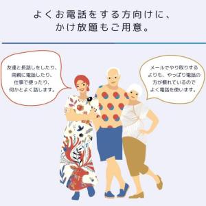日本通信SIM スターターパック ドコモネット...の詳細画像4