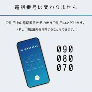日本通信SIM スターターパック ドコモネット...の詳細画像5