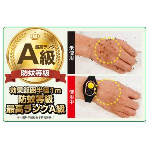 虫くんキーホルダーの詳細画像2