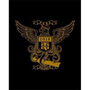 クラーケン鷹／電気グルーヴ