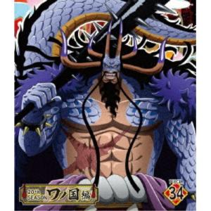 BD ONE PIECE ワンピース 20THシーズン ワノ国編 piece.34