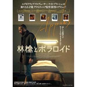 林檎とポラロイド