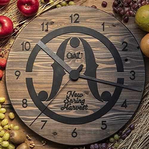 CD/OAU/New Spring Harvest (CD+DVD) (紙ジャケット)