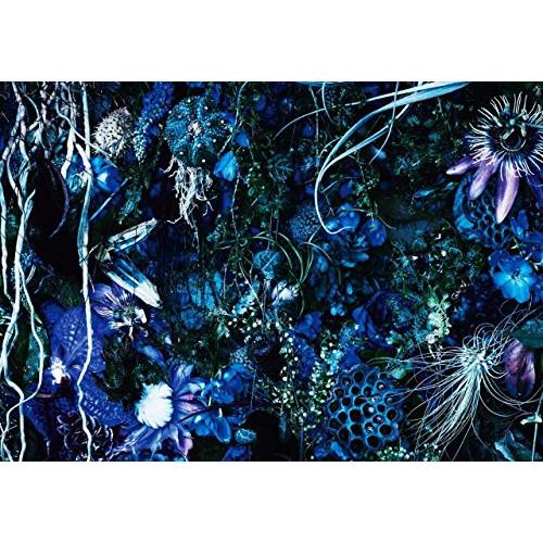 CD/SUGIZO/ONENESS M (SHM-CD) (ライナーノーツ) (初回限定盤)