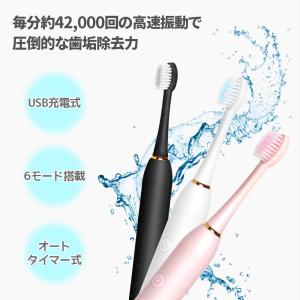 電動歯ブラシ ブラック USB充電 6モード切...の詳細画像2