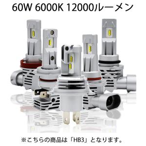 LEDヘッドライト HB3 DC12V 12000ルーメン 6000K ホワイト 2本セット 1年保証｜e-auto fun ストア店