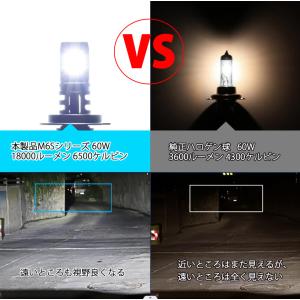 LEDヘッドライト HIR2 DC12V 60...の詳細画像2
