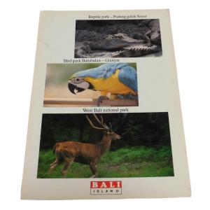 ポストカード　アジアン雑貨　インドネシア・ポストカード(バリ島) 2　クリックポスト選択　送料200円