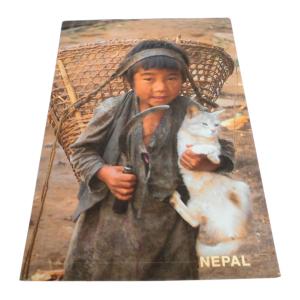 ポストカード アジアン雑貨 ネパール・ポストカー...の商品画像