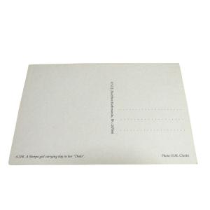 ポストカード アジアン雑貨 ネパール・ポストカ...の詳細画像1