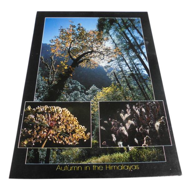 ポストカード　アジアン雑貨　ネパール・ポストカード(山と自然) 7　クリックポスト選択　送料200円