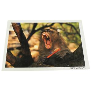 ポストカード　アジアン雑貨　タイ・アニマル・ポストカード1　クリックポスト選択　送料200円