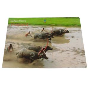 ポストカード　アジアン雑貨　タイ・アニマル・ポストカード3　クリックポスト選択　送料200円