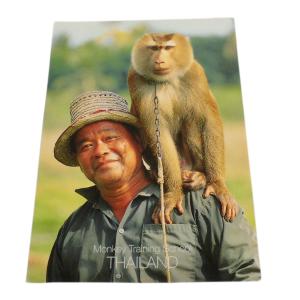 ポストカード　アジアン雑貨　タイ・アニマル・ポストカード5　クリックポスト選択　送料200円