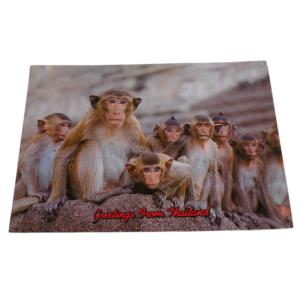 ポストカード　アジアン雑貨　タイ・アニマル・ポストカード7　クリックポスト選択　送料200円