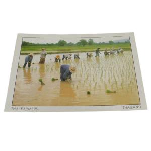 ポストカード　アジアン雑貨　タイ・ポストカード12　クリックポスト選択　送料200円