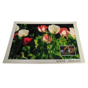 ポストカード　アジアン雑貨　タイ・ポストカード13　クリックポスト選択　送料200円