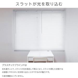 ブラインド ブラインドカーテン オーダー プラ...の詳細画像5
